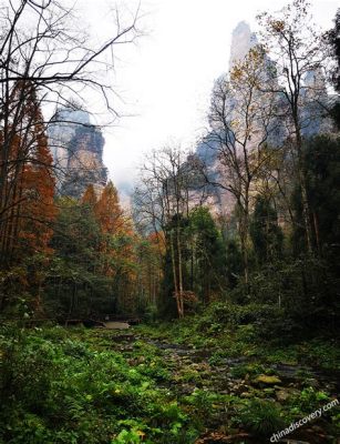 Golden Whip Stream Majestic Waterfall Trails and Heavenly Scenery